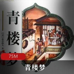 古代小说（青楼梦）有声小说