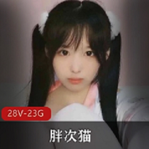 胖次猫资源合集：双马尾少女，少女袜子，23G视频